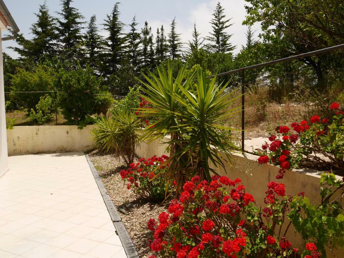 Quinta Nas Colinas Villa Sao Vicente da Beira Exterior photo